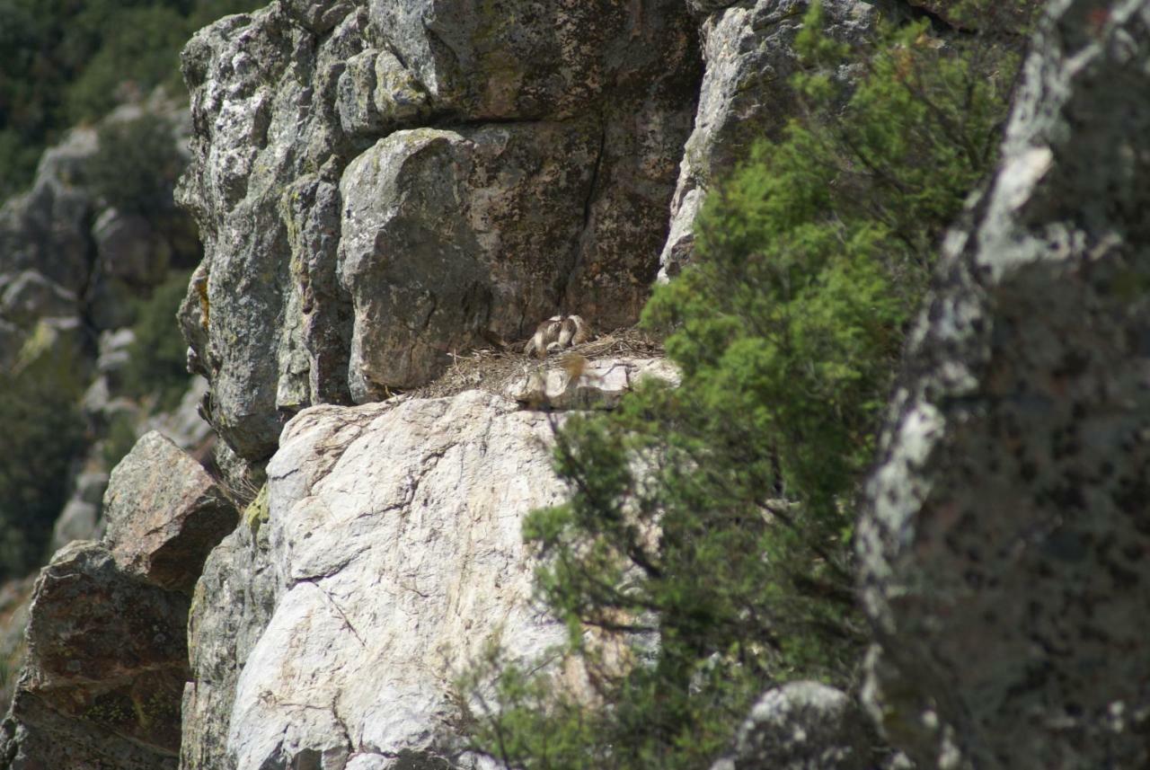 Вілла Monte Do Pego Arneiro  Екстер'єр фото